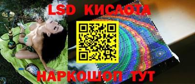 крисы Свободный