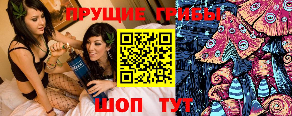 Галлюциногенные грибы Psilocybine cubensis Обь